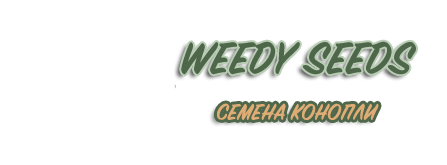 Weedyinfo - семена конопли